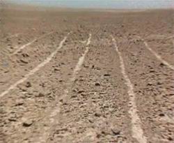 Les figures de Nazca