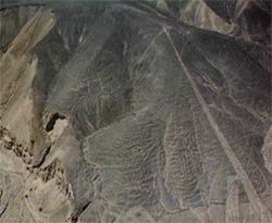 Les lignes de Nazca