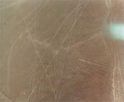 Les figures de Nazca