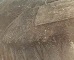 Les figures de Nazca