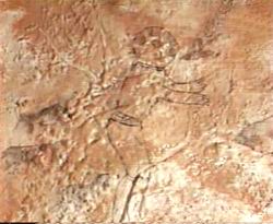 Des traces sur des peintures rupestres