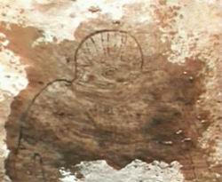 Des traces sur des peintures rupestres