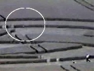 Observation d'un OVNI survolant un Crop Circle le 24/07/1999