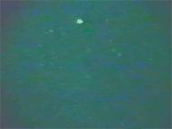 OVNI observ par une camra de surveillance