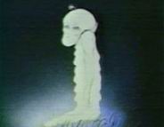 Observation d'un extraterrestre en pleine nuit en Amrique Latine